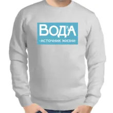 Свитшот мужской серый водка источник жизни